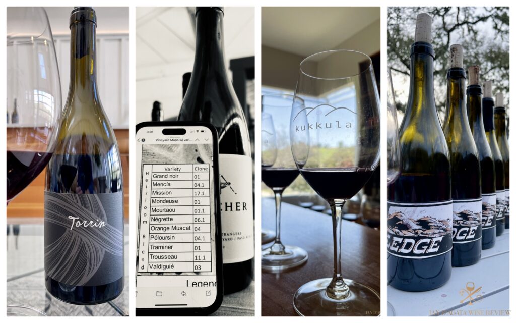 Paso Robles: A Snapshot of Recent Vintages and Wines