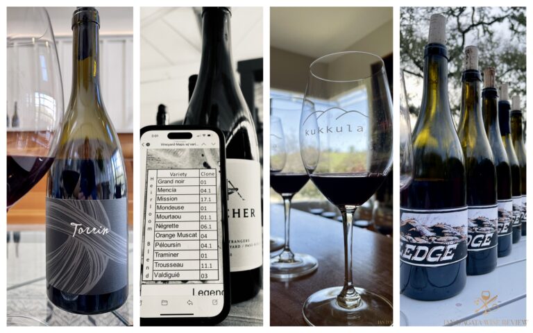 Paso Robles: A Snapshot of Recent Vintages and Wines
