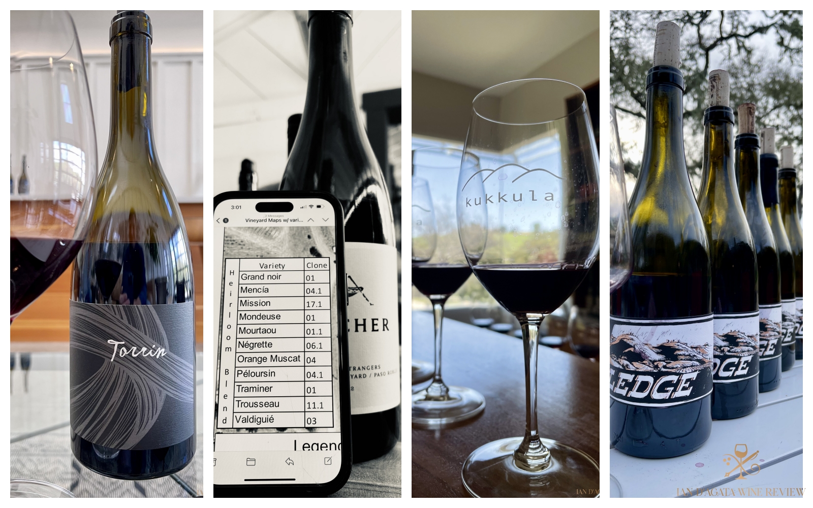 Paso Robles: A Snapshot of Recent Vintages and Wines