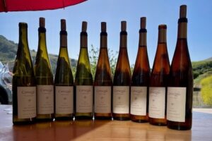 Cutruzzola Riesling