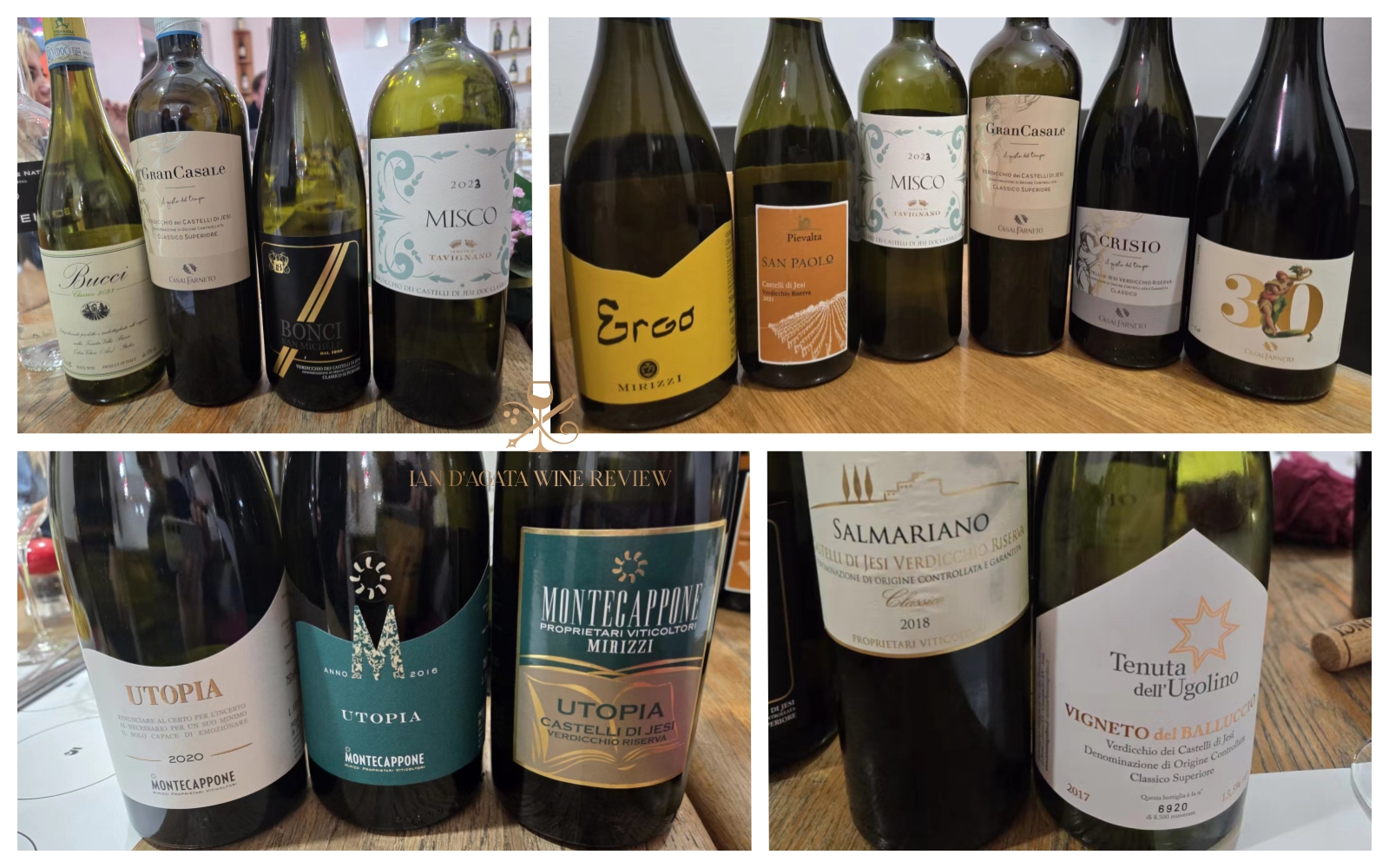 Verdicchio Update