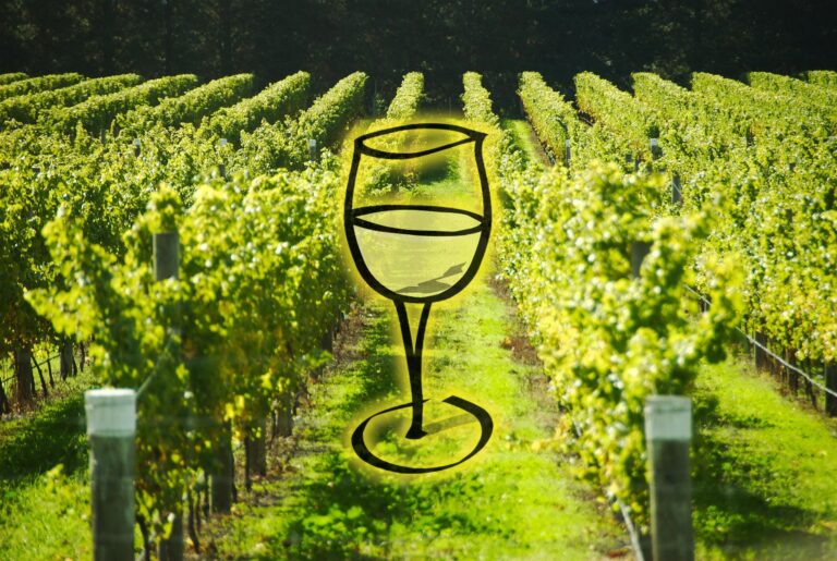 PASO ROBLES’ WHITE WINE RENAISSANCE: MEDITERRANEAN VARIETIES AND THE RISE OF A NEW IDENTITY