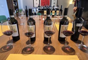Lorenzo Mattoni Montefalco Sagrantino 2019-2015