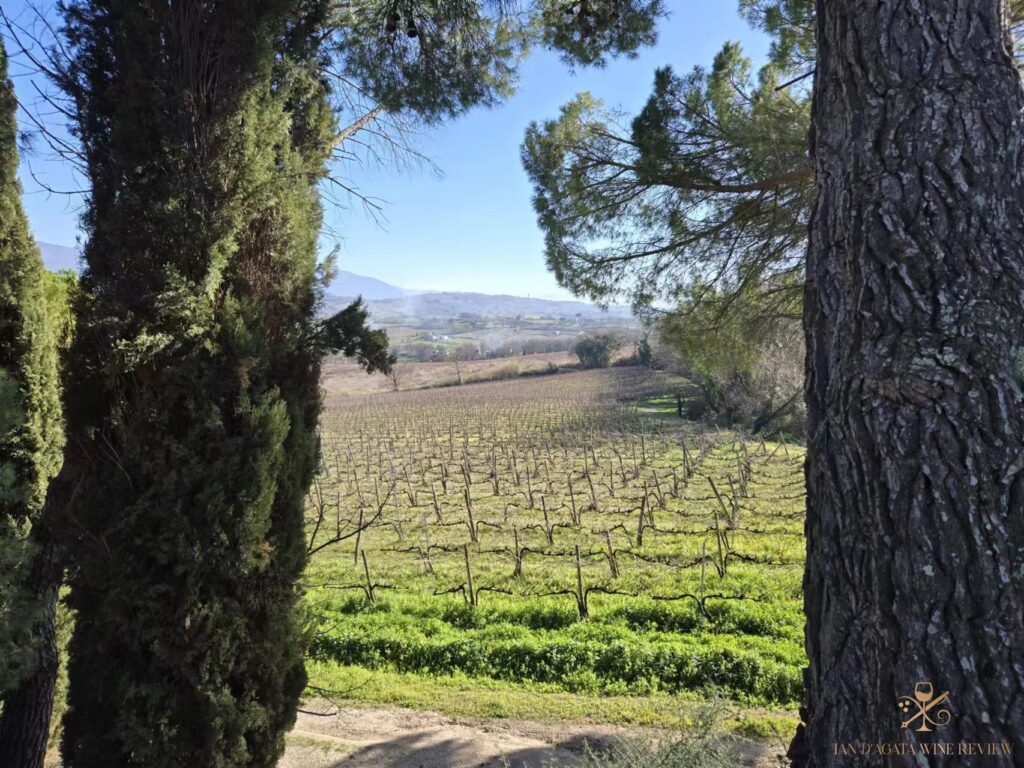 Lorenzo Mattoni Montefalco Sagrantino 2019-2015