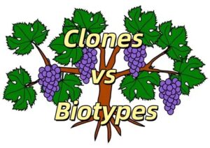 Clones and Biotypes