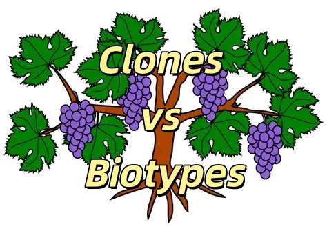 Clones and Biotypes