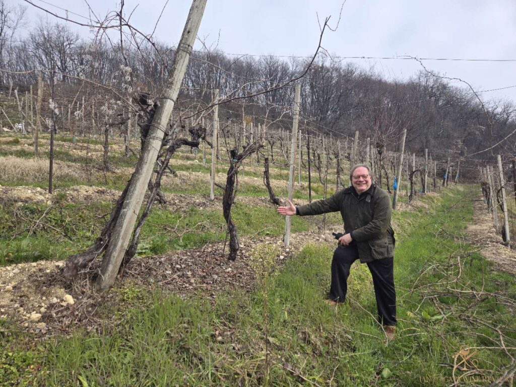 Prosecco can age, part 2: Vertical Tasting Gemin Prosecco Superiore Valdobbiadene-Conegliano Pioniere 2024-2018