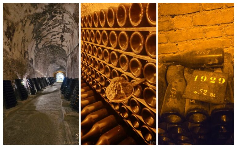 Champagne Update: Some Truly Fantastic New and Recent Releases, part 2