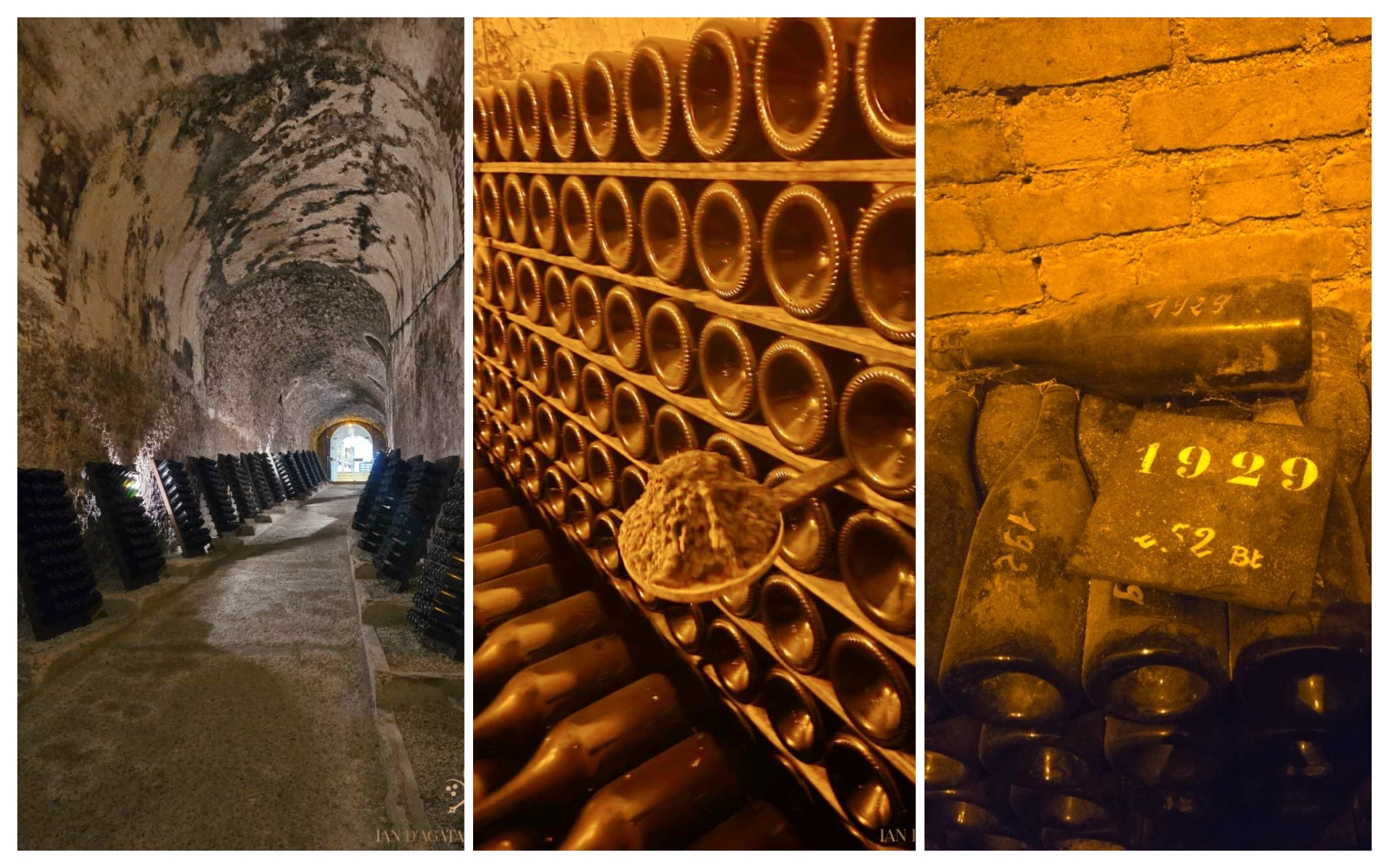 Champagne Update: Some Truly Fantastic New and Recent Releases, part 2