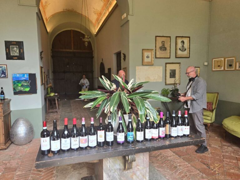 Verduno Pelaverga, the new releases of the excellent 2024 vintage