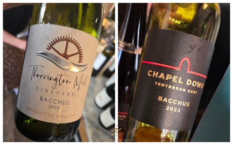 Bacchus, the little grape that could: an English wine success story