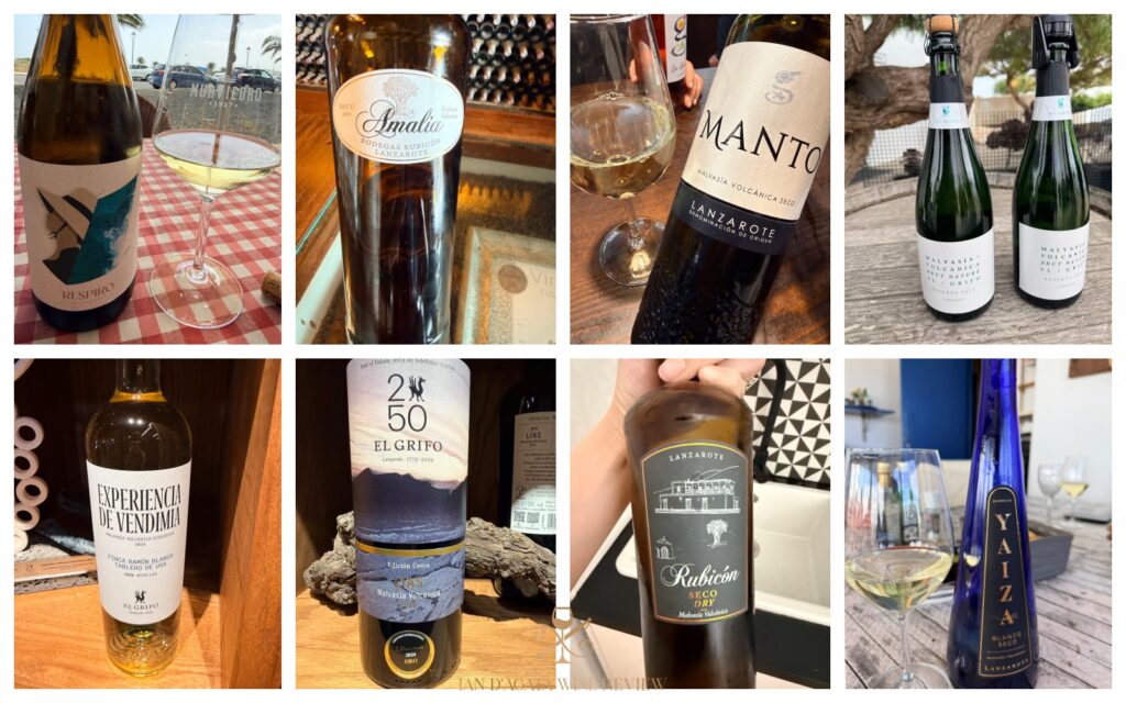 Lanzarote: Wines Growing From Volcanic Ash