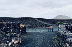 Lanzarote: Wines Growing From Volcanic Ash